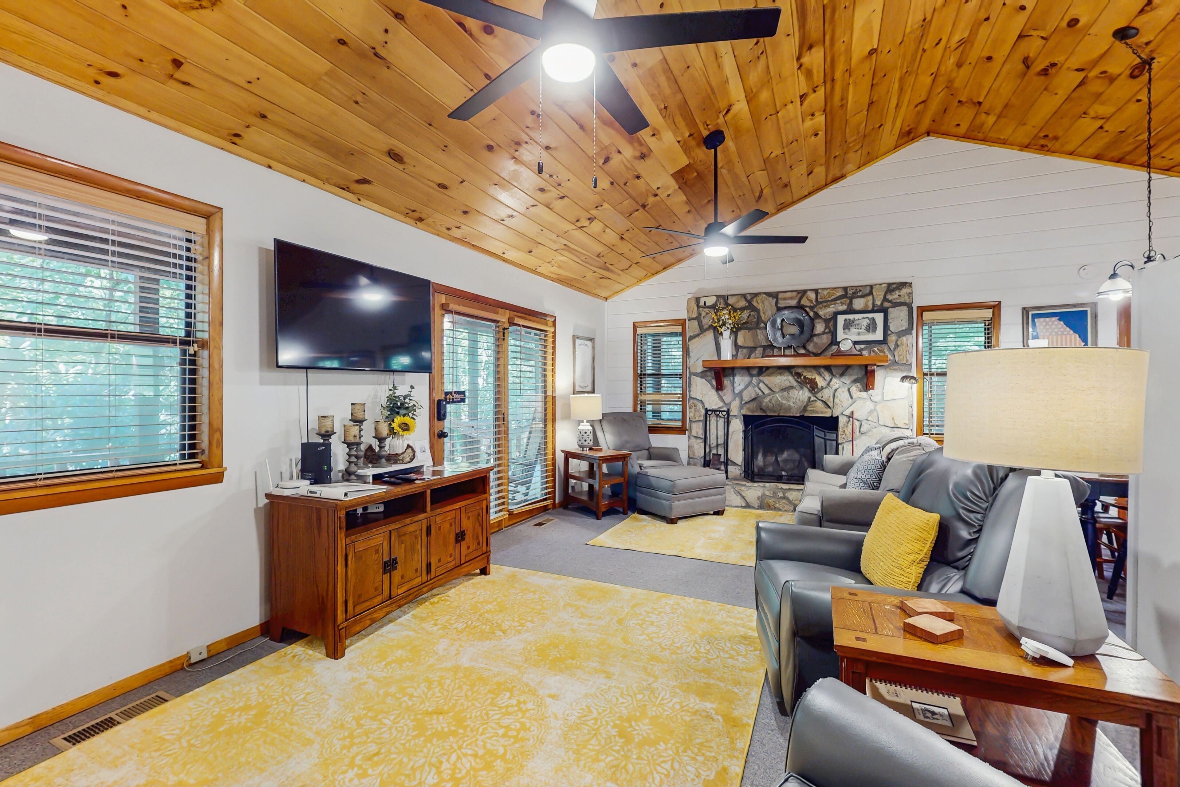 Televisie, een open haard, een dvd-speler en boeken