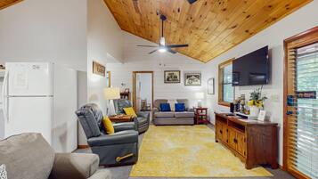 Televisio, takka, DVD-soitin, kirjoja