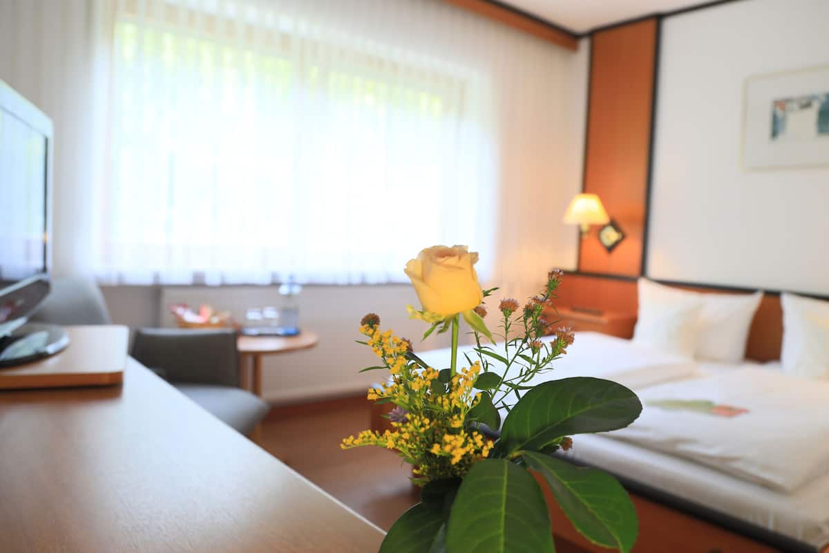 standard double room | hypo-allergenic bedding, minibar, desk, iron/ironing board