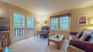 TV, fireplace, DVD player