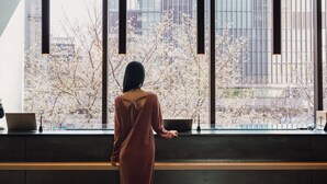 A person standing by a window with a laptop, overlooking a cityscape with buildings and blooming trees.