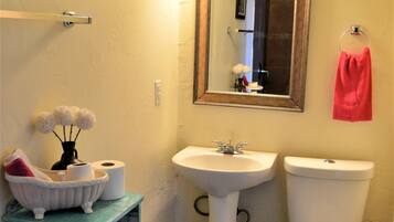 Regadera, jabón, shampoo, papel de baño