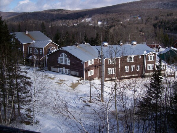A cluster of wooden houses with large windows and a garage, surrounded by snow-covered ground and trees, with a mountainous backdrop.
