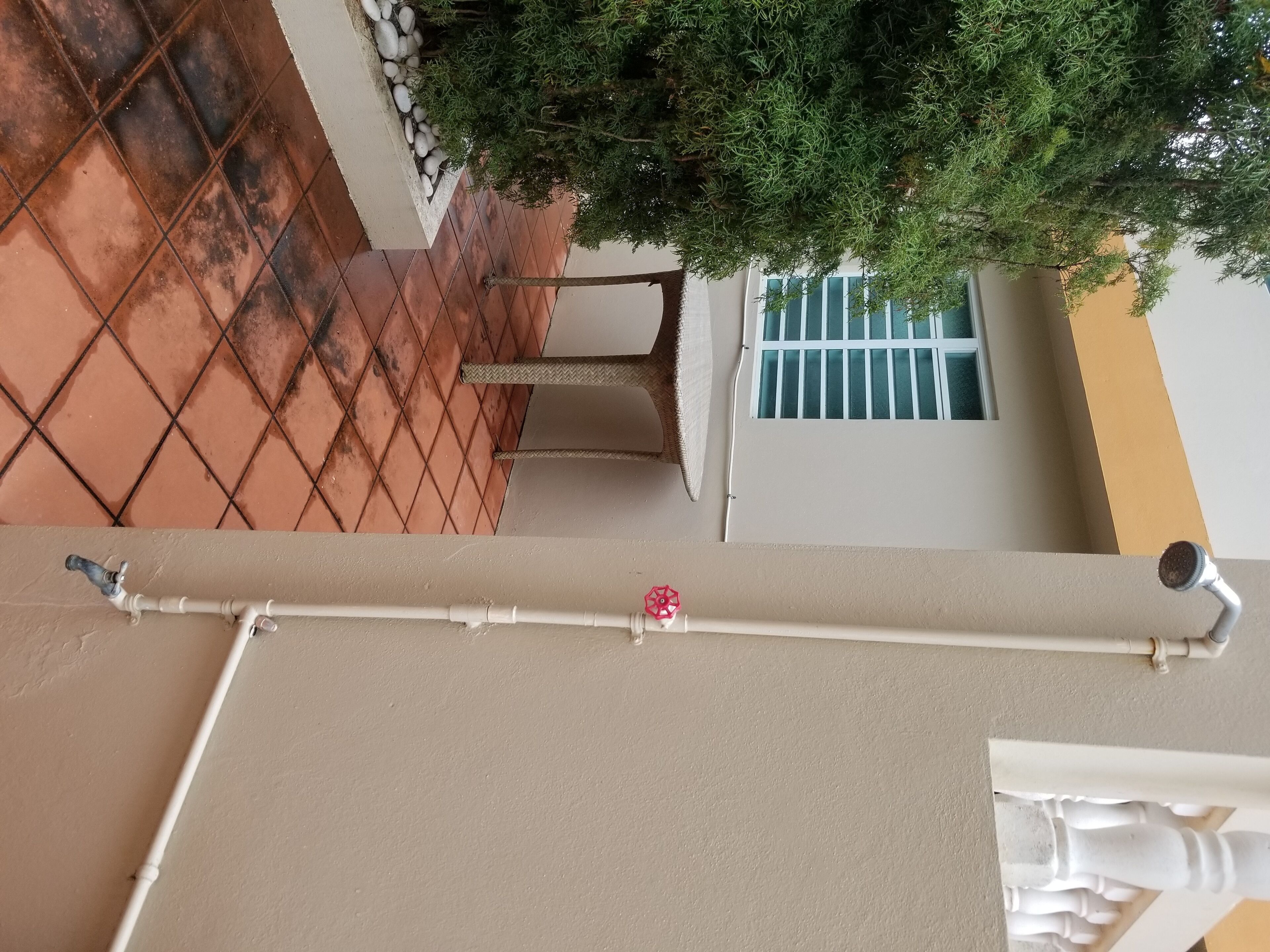 A tiled patio with a tree and a window with bars.