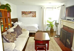 Een televisie, een open haard, videogames en een dvd-speler