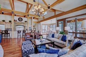 TV connectée, cheminée, lecteur de DVD, livres