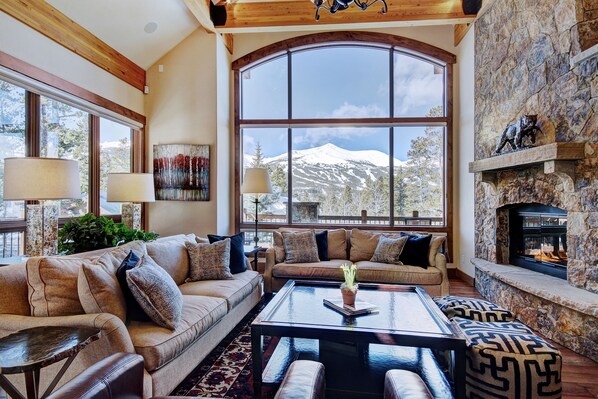 TV connectée, cheminée, lecteur de DVD, livres