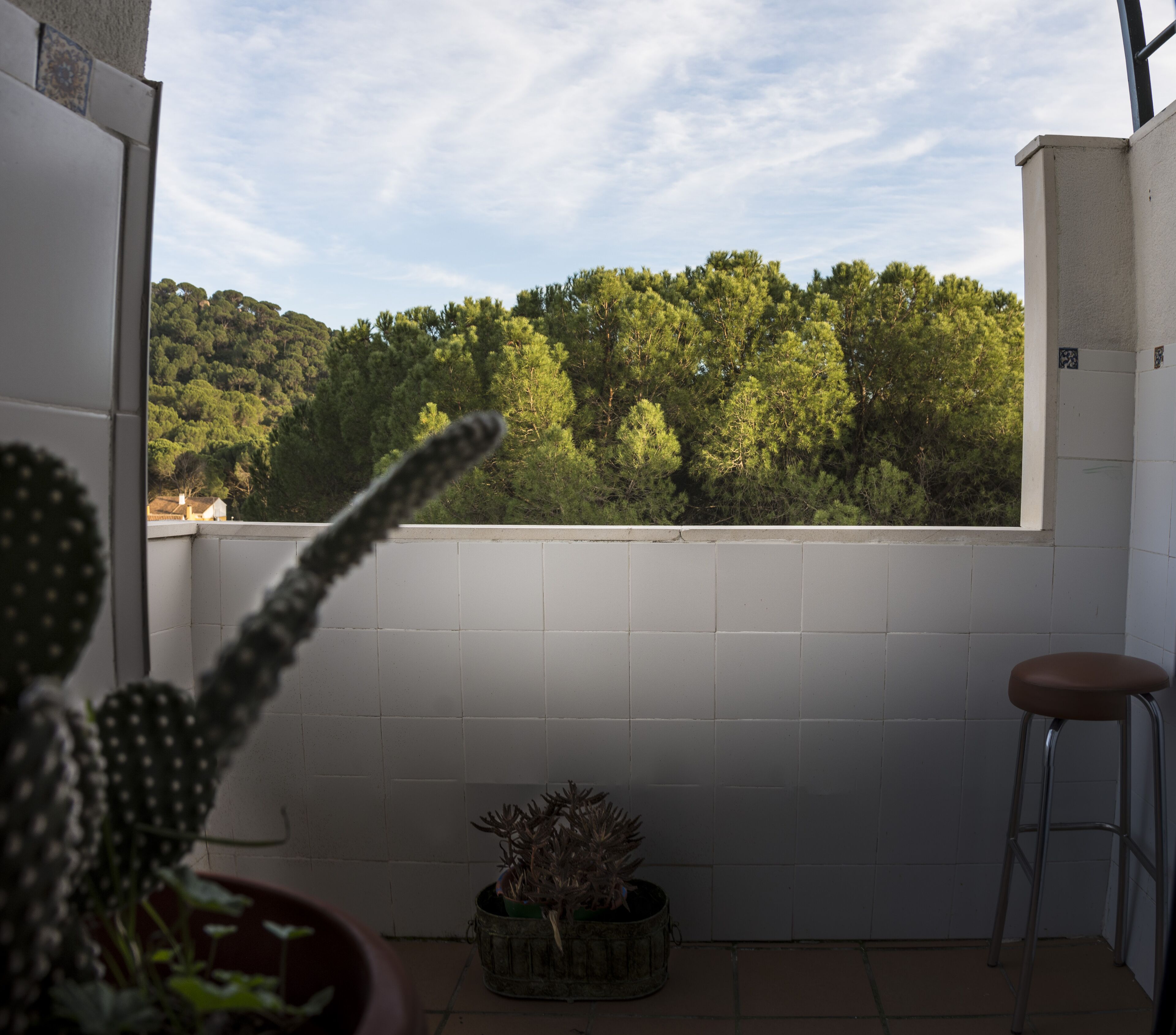 A balcony with a view of a forested hillside, a cactus plant, a potted plant, and a metal stool.