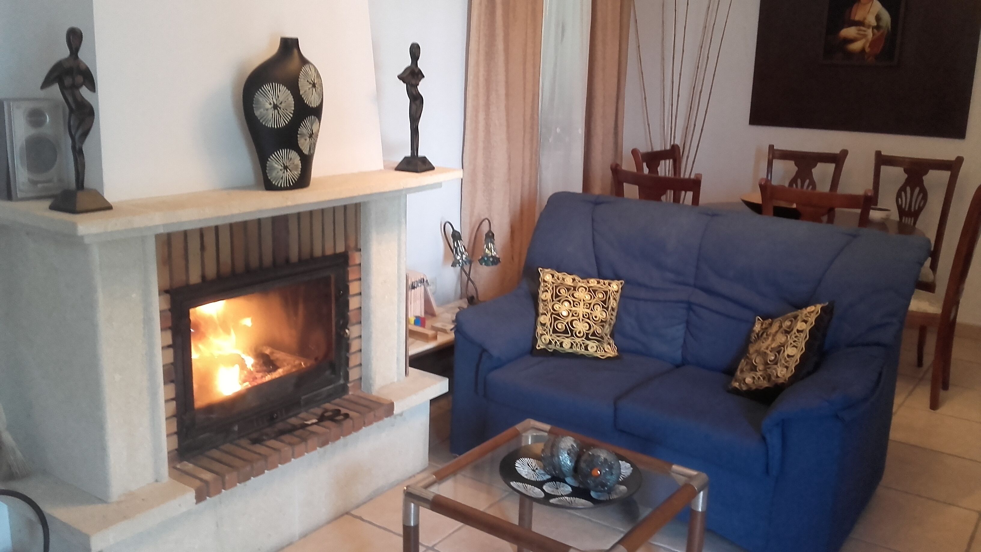 電視、壁爐、DVD 播放機、書籍