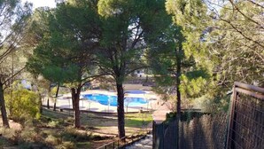 Un camino de piedra que conduce a una zona de piscina rodeada de árboles.