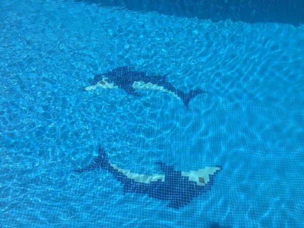 Piscine extérieure, piscine chauffée