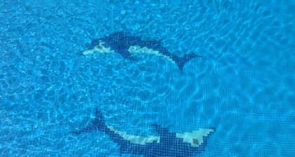 Beautiful Villa with heated pool very near Puerto Banus