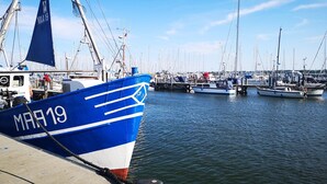 A marina with boats docked, including a prominent blue boat with "MAA 19" on its side.