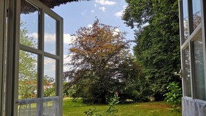 An open window with a view of a grassy yard and a large tree.