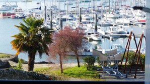 Un port de plaisance où sont amarrés de nombreux bateaux, un palmier et un petit bâtiment avec des marches menant à une zone abritée.