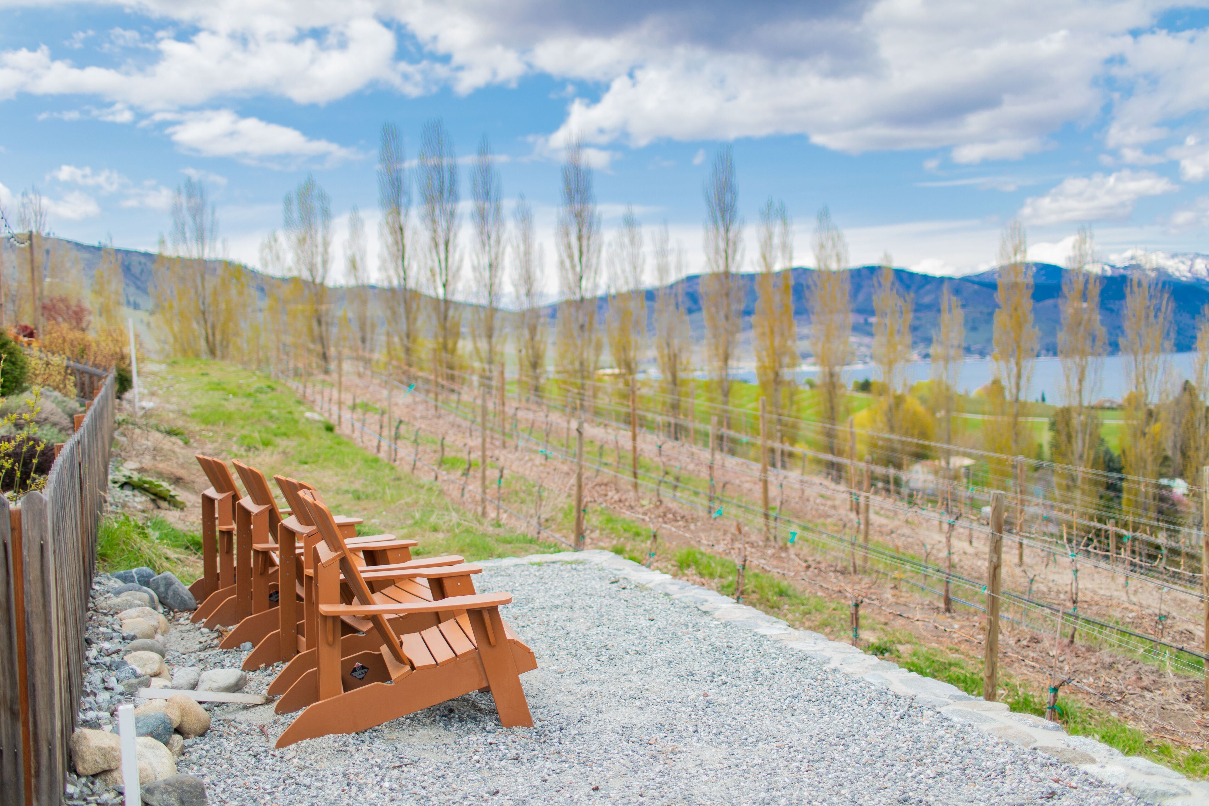 A row of wooden chairs lined up on a gravel path with a mountain and lake in the background.