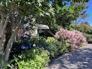 A garden with various plants and trees, a gravel path, and a building with a covered entrance. - 4 BR California Lux Living, Heated Pool, Central AC, Pet, West Bellevue, Fall % (Clyde Hill)