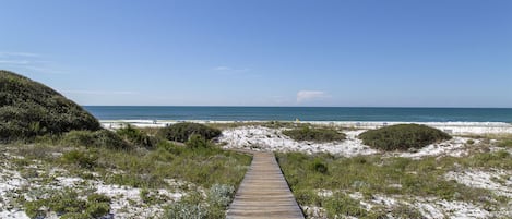 Una playa cerca