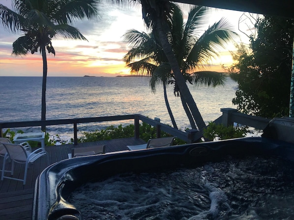 Property grounds - Mampoo Hill-- a Beachfront House 20 Yards from the Ocean with optional Jeep (St. John)