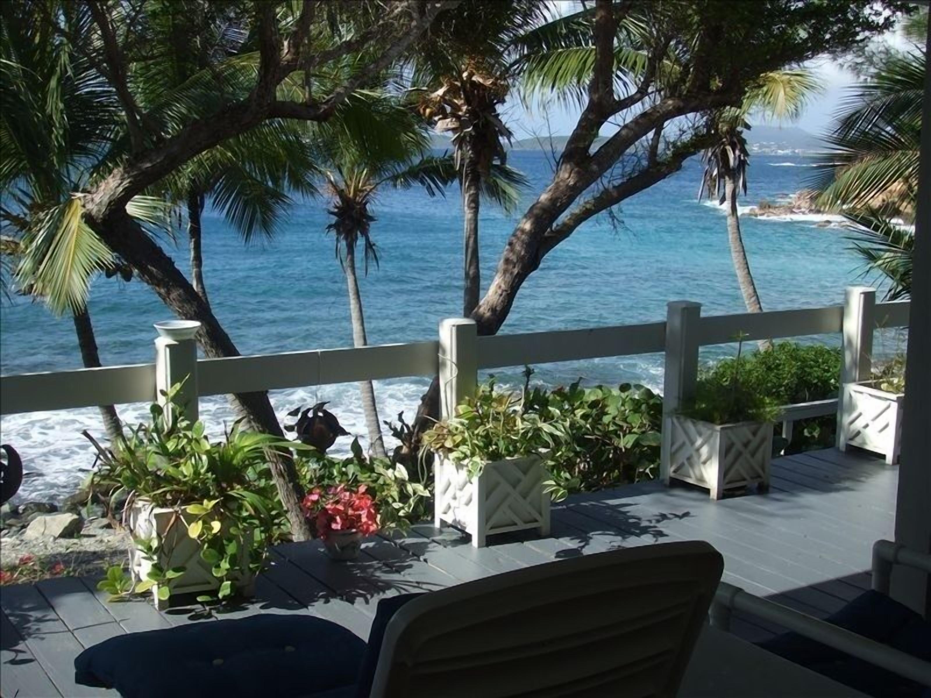 Eine Terrasse mit Blick auf den Ozean, umgeben von Palmen und Kübelpflanzen.