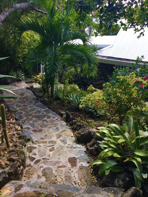 Property grounds - Mampoo Hill-- a Beachfront House 20 Yards from the Ocean with optional Jeep (St. John)