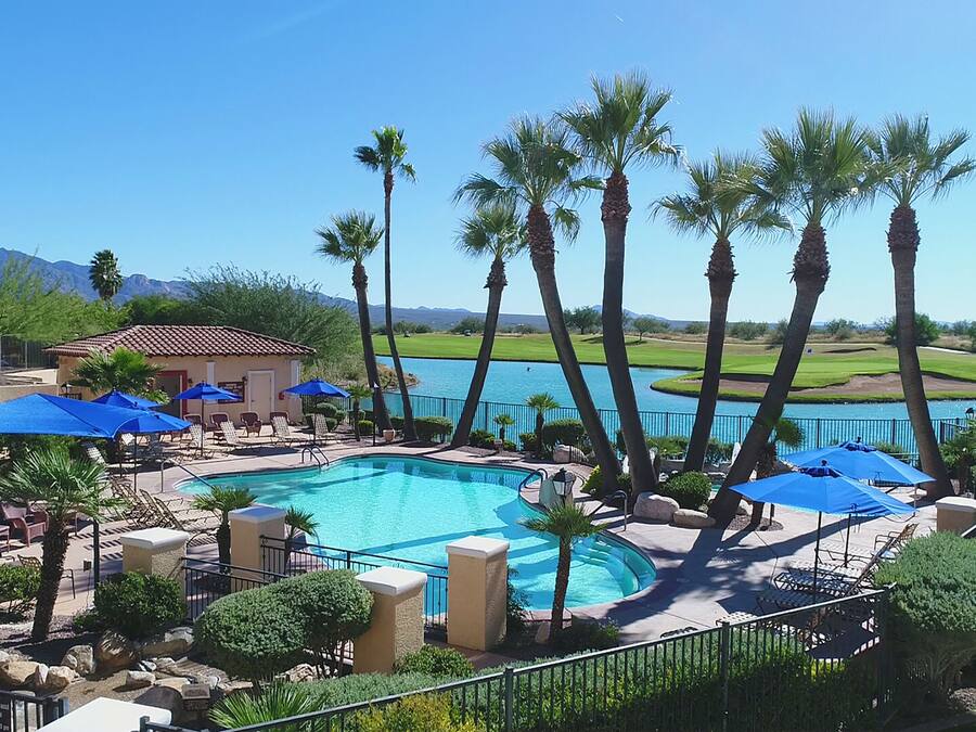 A pool area with palm trees, lounge chairs, and umbrellas.