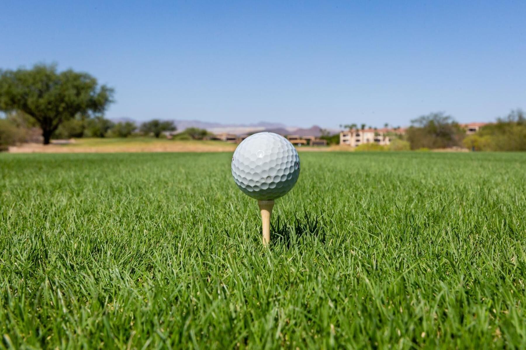 A golf ball on a tee in a grassy field with buildings in the background.