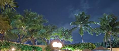 A nighttime view of a resort with a swimming pool, palm trees, and outdoor seating areas.