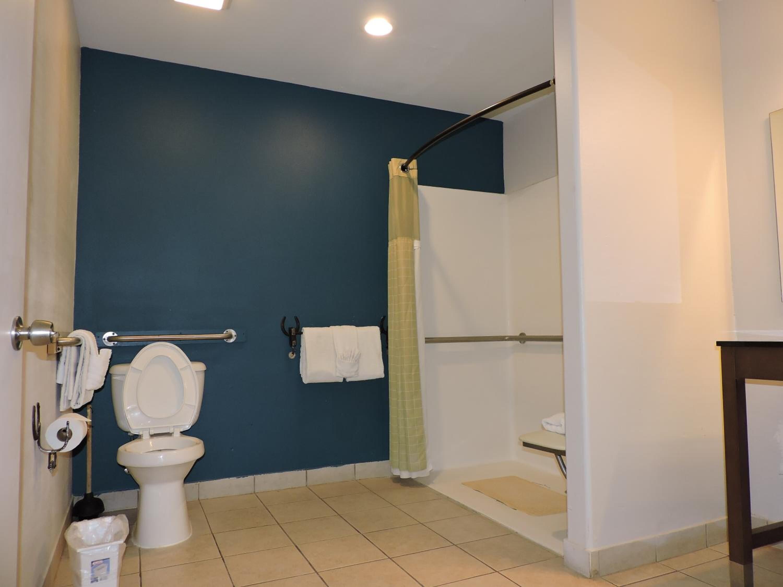 combined shower/bathtub, free toiletries, hair dryer, towels