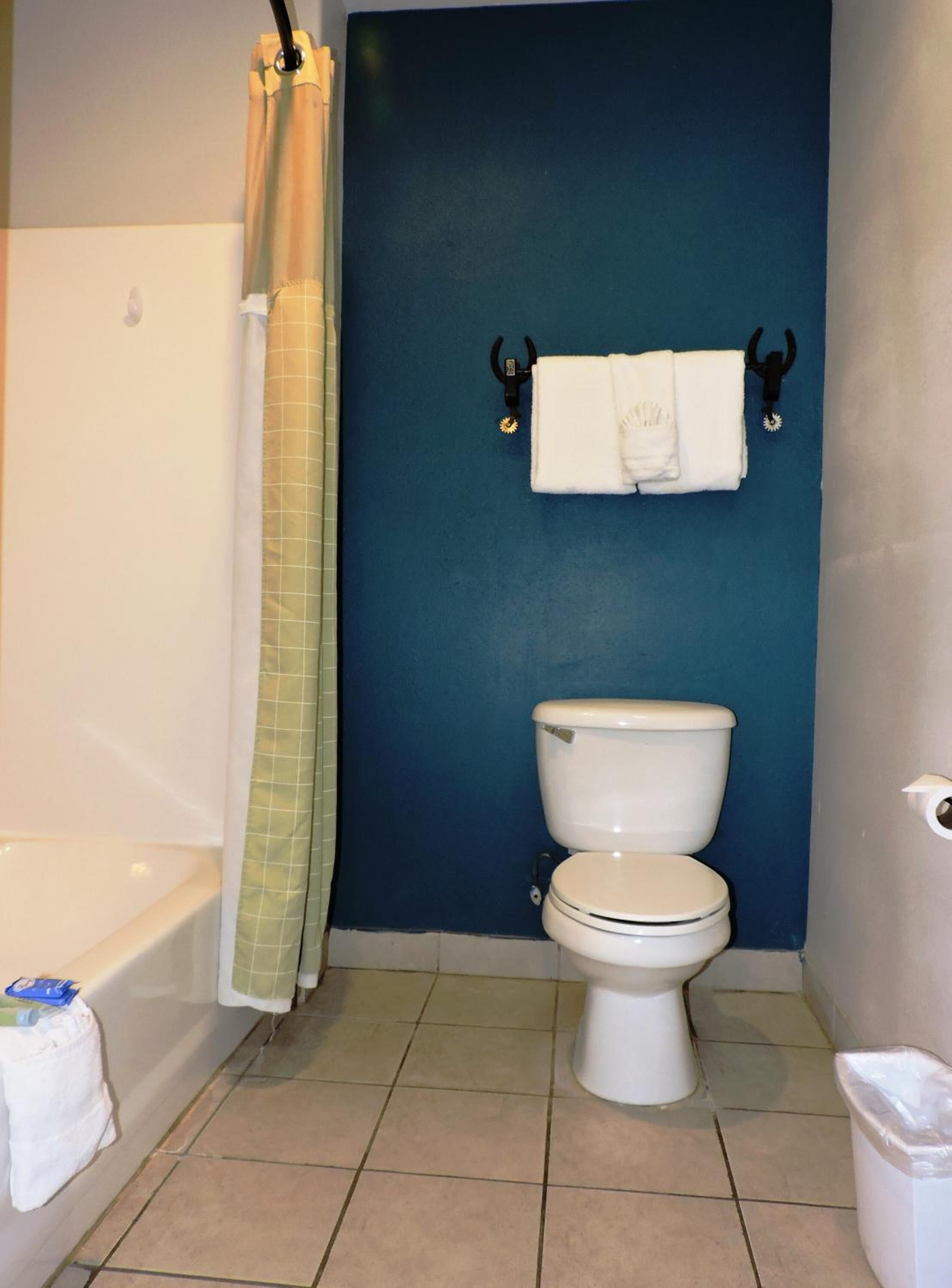 combined shower/bathtub, free toiletries, hair dryer, towels
