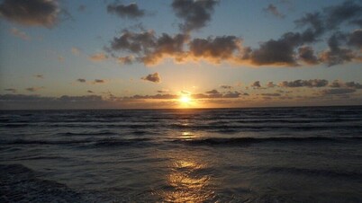 "Best in Class" Beachside Condo,  Steps from Beach