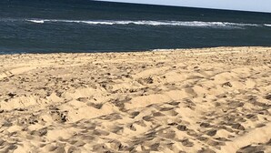 Une plage de sable fin, avec des vagues et un ciel dégagé.