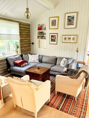 Smart-tv, pejs, videospil, dvd-afspiller