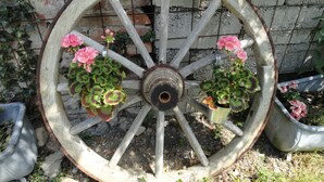Una gran rueda de madera rústica con macetas de flores sujetas a sus radios, frente a un muro de ladrillo.