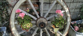 Gasthof Reiterstuben Apartment "Ernst" 55 m2 in a quiet rural location