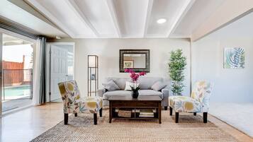 TV connectée, cheminée, lecteur de DVD, livres