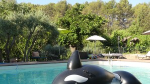 A pool with an inflatable orca float. - PROVENCE MAS OF ATYPICAL CHARACTERS (Draguignan)