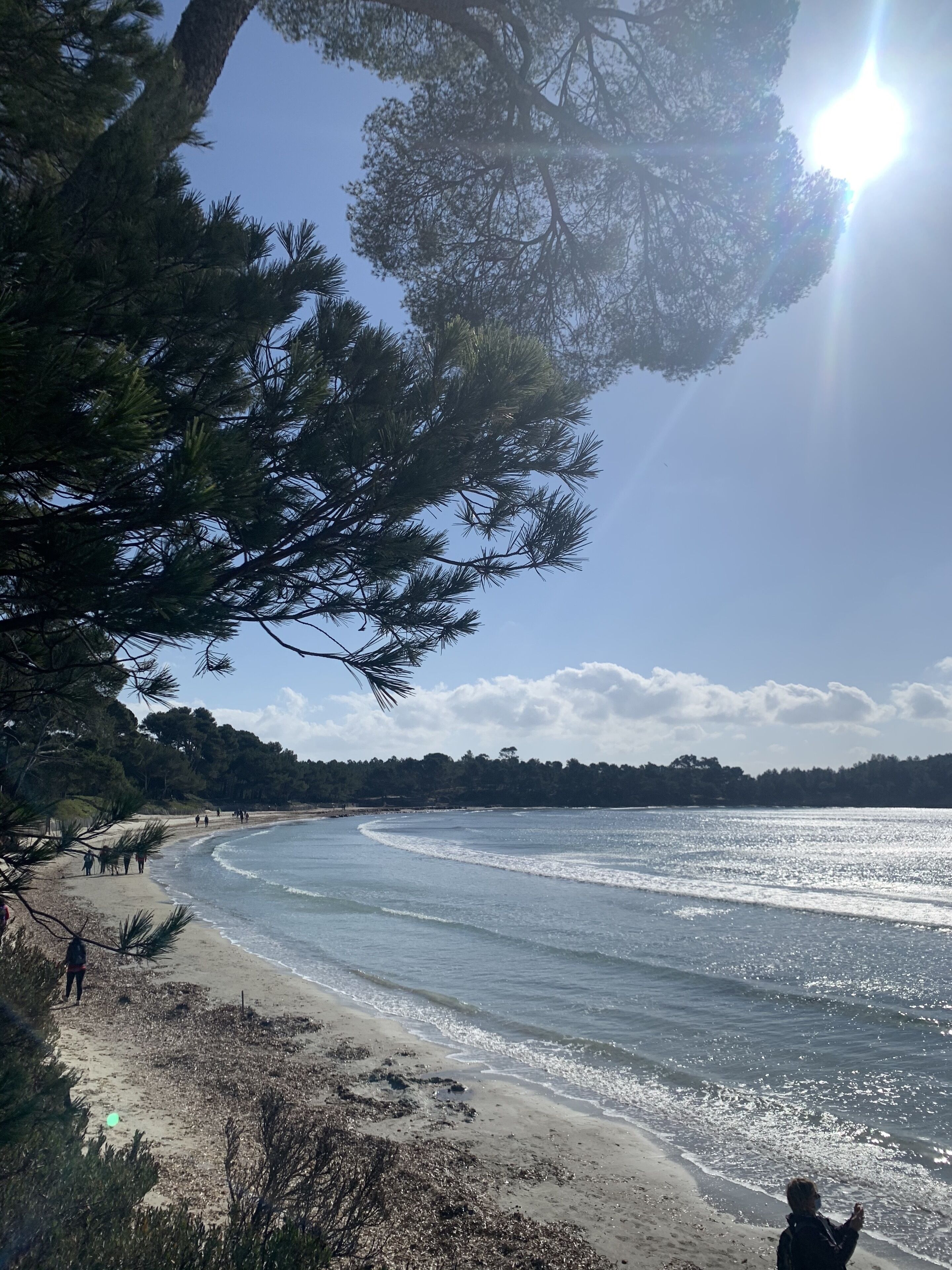Plage, chaises longues