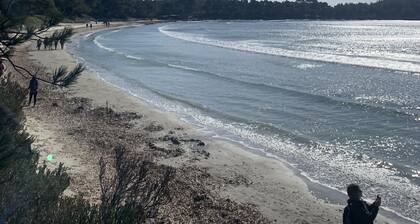 MAS PROVENCAUX 2/8 personnes ATYPIQUES AVEC PISCINE SECURISEE PLEIN COEUR VAR