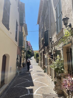 Property grounds - PROVENCE MAS OF ATYPICAL CHARACTERS (Draguignan)