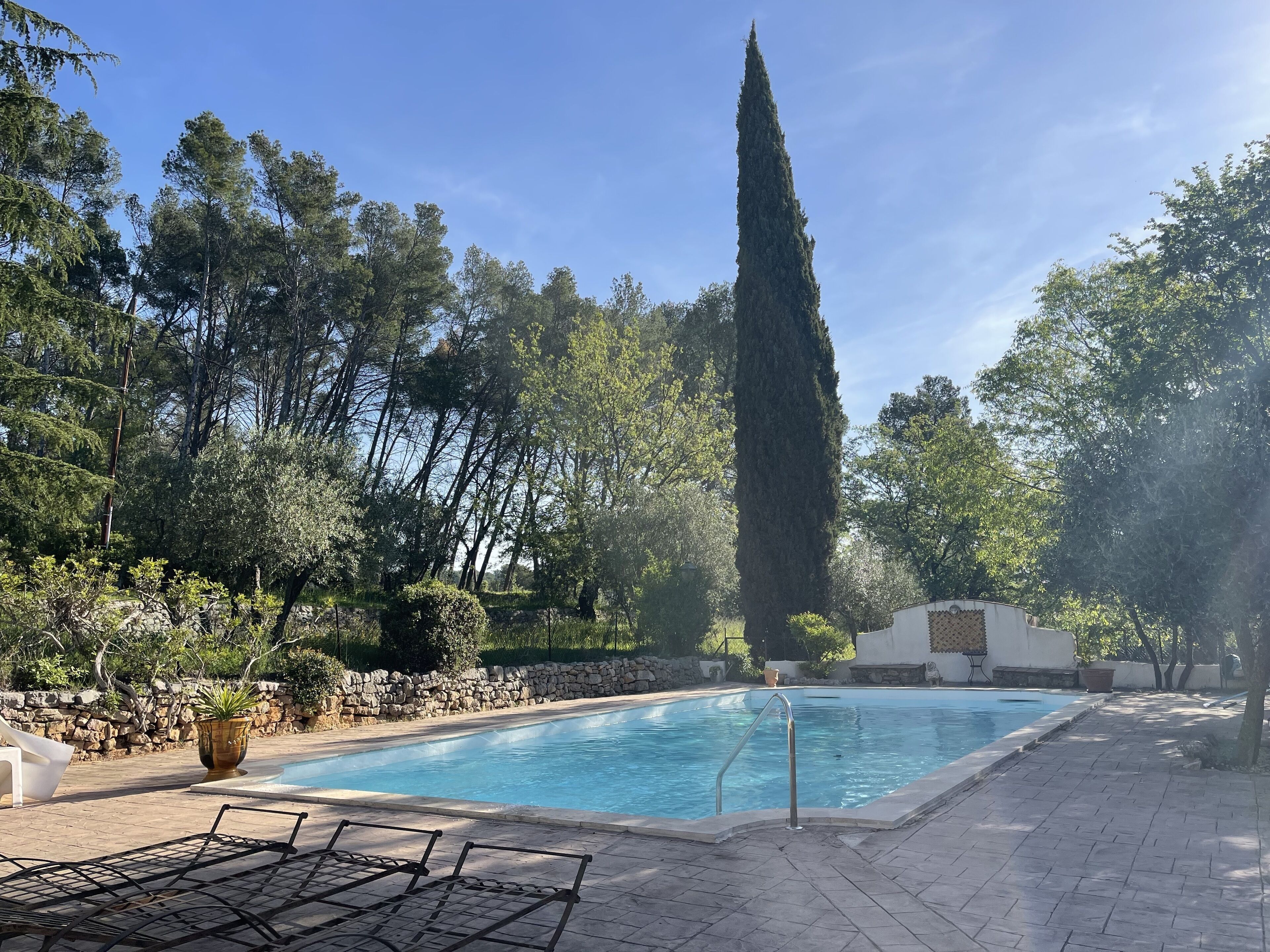 A swimming pool with a stone wall and a tall tree in the background.