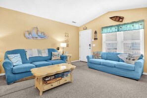 TV, DVD player, books, video library