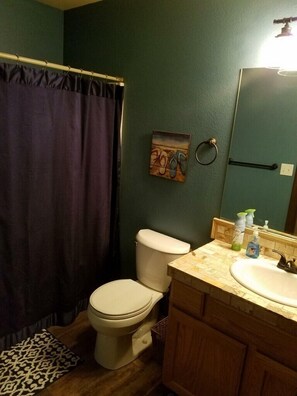 A bathroom with a toilet, sink, and shower curtain. - snowbirds email of call for winter pricing<br>951-741-7590 occapt@hotmail.com (Lake Havasu City)