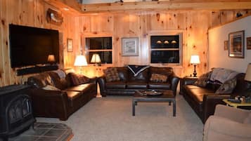 Smart TV, fireplace, books, music library