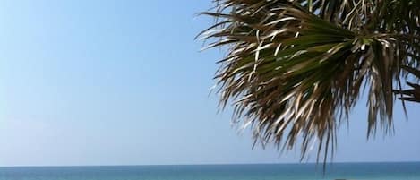 Beach | Beach nearby, sun loungers