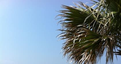 White Sugar Sand Beaches. Free Parking & Internet. Remodeled. Gulf Views.