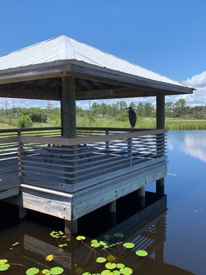 Enceinte de l’hébergement