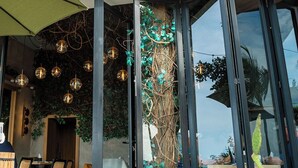 A restaurant named 'Central' with a brick facade, large glass windows, and indoor plants.