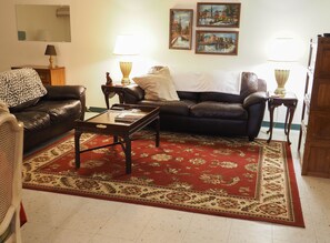 تلفزيون، مدفأة، مشغل دي في دي، كُتُب