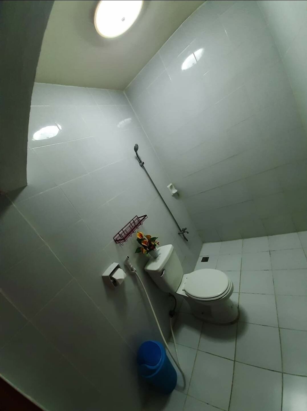 A small, tiled bathroom with a toilet, bidet, and a small shelf with a flower vase.
